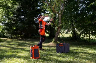 A person using tree climbing gear in a garden setting.