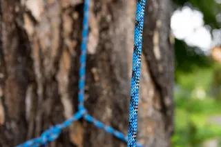 Close-up de uma corda azul e preta amarrada em torno de um tronco de árvore em um ambiente de jardim.