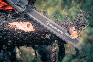 A Husqvarna chainsaw cutting through a tree trunk in a forest setting.