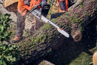 A person using a Husqvarna chainsaw to cut through a moss-covered tree log outdoors.