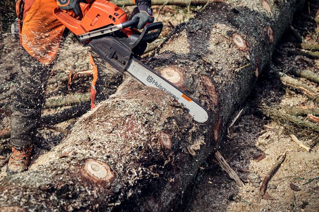 A person using a Husqvarna chainsaw to cut a large tree log outdoors.