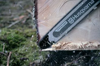 Närbild av en motorsåg från Husqvarna som kapar en trädstam i en skogsmiljö.