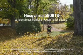 590BTS Ryggburen blåsare, funktioner och fördelar SE