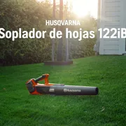 Vídeo benéfico Soplador 122iB_ES