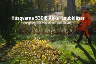 530iB Akku-Laubblasgerät, Merkmale und Vorteile, V02 DE