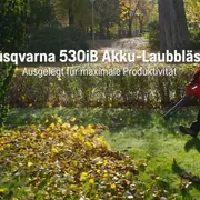530iB Akku-Laubblasgerät, Merkmale und Vorteile, V02 DE