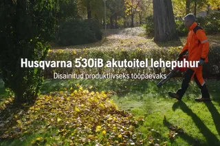 530iB akupuhur, omadused ja eelised, EE
