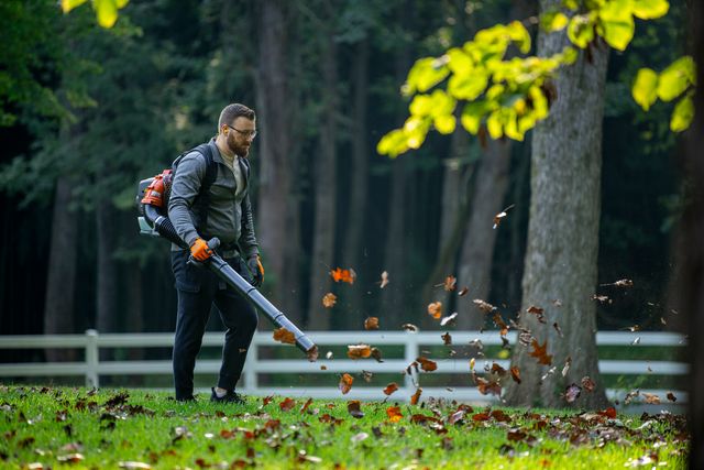 A person using a leaf blower to clear fallen leaves in a park setting.