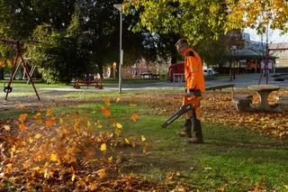 Una persona che utilizza un soffiatore per foglie per rimuovere le foglie cadute in un parco.
