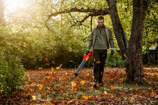 在公园环境中使用吹叶机清除落叶的人员。