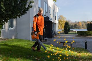 Eine Person, die ein Laubblasgerät benutzt, um heruntergefallene Blätter in einem Park zu beseitigen.