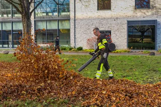 A person using a battery leaf blower to clear fallen leaves in a park setting.