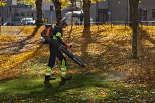 Eine Person, die ein Laubblasgerät benutzt, um heruntergefallene Blätter in einem Park zu beseitigen.