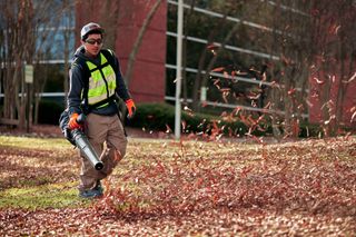 A person using a leaf blower to clear fallen leaves in a park setting.