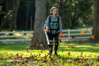 A person using a leaf blower to clear fallen leaves in a park setting.