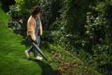 A person using a leaf blower to clear fallen leaves in a garden with a green hedge in the background.