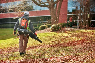 A person using a leaf blower to clear fallen leaves in a park setting.