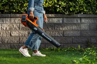 A person using a leaf blower to clear fallen leaves in a garden.