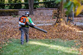A person using a leaf blower to clear fallen leaves in a park setting.