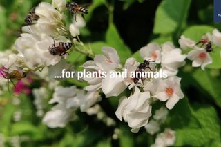 HUGSI Feature Biodiversity View 2023