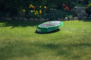 Robotic lawn mower operating in a garden with colorful flowers in the background.