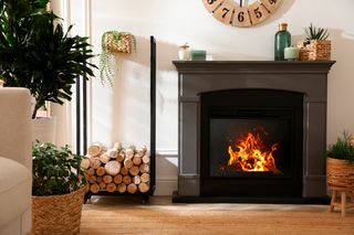 A cozy living room with a lit fireplace, surrounded by potted plants and stacked firewood.