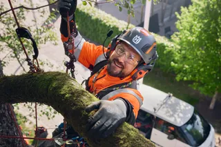 Laipiojimo įrangos darbuotojas, genėjantis medį, su kolegomis ir transporto priemone apačioje.