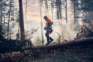 Töövarustust kandev inimene, kes kõnnib metsas langenud puu otsas.