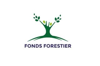 logo_fond_forestier