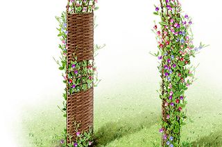A decorative garden arch with woven design and colorful flowers climbing on it.