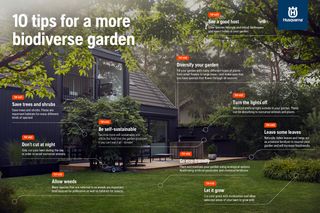 A garden scene with a modern house, featuring text tips for creating a biodiverse garden, such as saving trees, diversifying plants, and allowing weeds.
