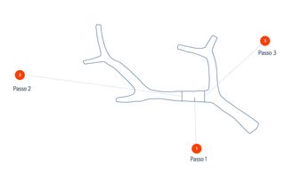 Ilustração de uma estrutura ramificada com degraus rotulados: Passo 1, Passo 2 e Passo 3.