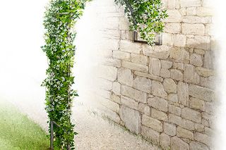 A garden arch covered with green foliage next to a stone wall.