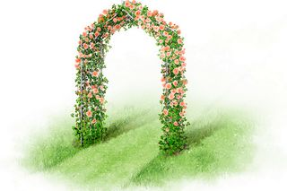 A garden arch adorned with blooming pink roses and green foliage.