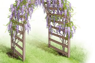 A wooden garden arch adorned with blooming purple wisteria flowers.