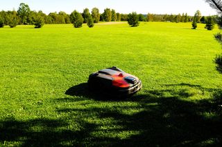 Robotizētais zāles pļāvējs darbojas uz liela, zāliena zāliena, ko robežojas izkaisīti koki.