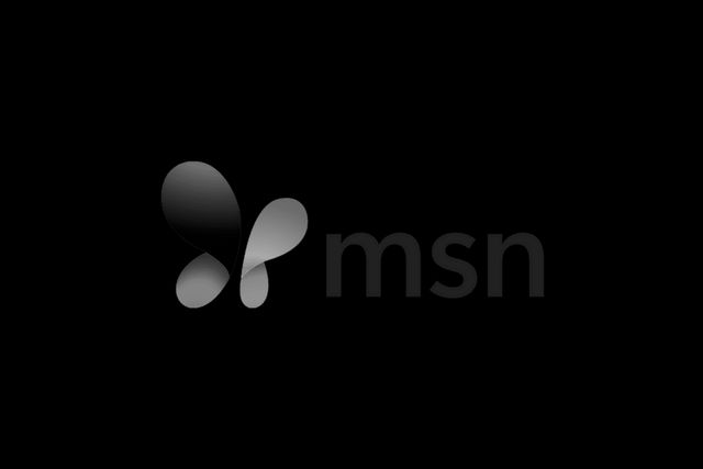 Decorative element with MSN logo.