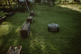 Robotizēts zāles pļāvējs, kas darbojas dārzā ar paaugstinātām augu dobēm.
