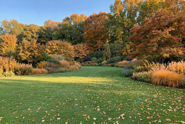 A garden landscape with autumn foliage and fallen leaves on the grass.
