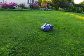 Robotizēts zāles pļāvējs, kas darbojas labi uzturētā zālienā dārza vidē.