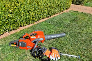 Husqvarna leaf blower and work gloves on a grassy lawn near a hedge.