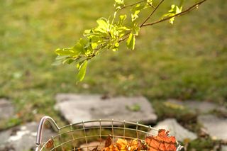 A wire basket filled with fallen autumn leaves placed on a garden path.