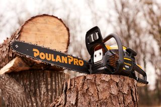Poulan Pro chainsaw resting on a tree stump with cut logs in the background.