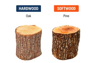 Hardwood vs Softwood - Web only