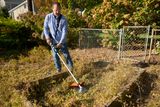 A person using a string trimmer to clear overgrown grass in a garden.