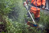 Una persona que usa una desbrozadora para podar vegetación crecida cerca de una carretera.