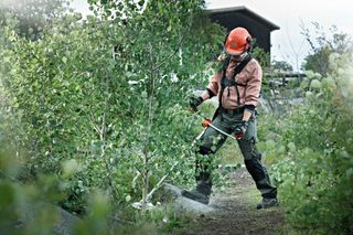 A person using a brush cutter to trim small trees in a garden area.