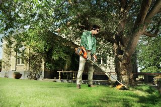 Una persona che utilizza un trimmer a filo per tagliare l'erba intorno a un albero in un giardino.