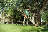 A person using a string trimmer to cut grass around a tree in a garden.