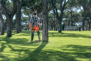 Una persona che utilizza un trimmer a filo per tagliare l'erba intorno a un albero in un parco.